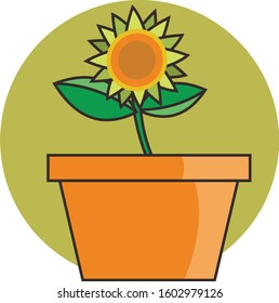 Sunflower cute plant icon illustration