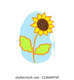 Sunflower cute vector isolated illustration