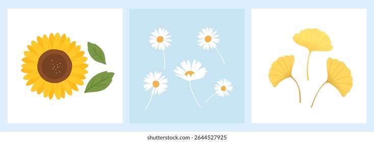 Sunflower, daisies and ginkgo leaves icon signs on blue and white backgrounds vector. 