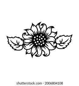 Sunflower or daisy flower with leaves on white background. Vector illustration.