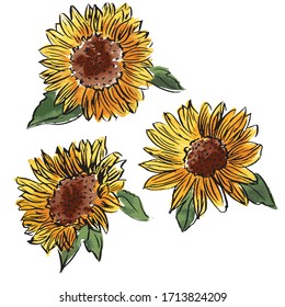 Sunflower Design Element Set. Hand Drawn. Vector Motifs.