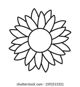 Sunflower design, floral nature plant ornament garden decoration and botany theme Vector illustration