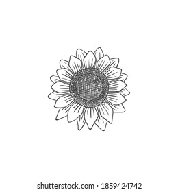 Sunflower design logo illustration for your brand and company