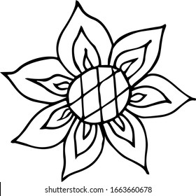 Girasol para el diseño de textiles, platos, paquetes, bolsas, cuadernos. Vector botánico. Ilustración dibujada a mano