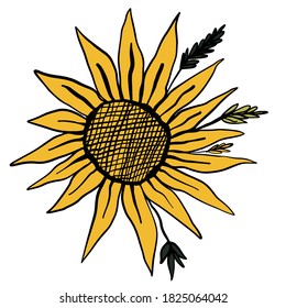 Sunflower digital design. Vector illustration.