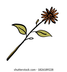 Sunflower digital design. Vector illustration.