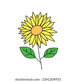 Sunflower doodle illustration in vector. Hand drawn sunflower icon in vector.