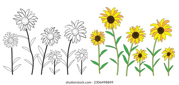 Sunflower doodle set, including line drawing and flat coloring.