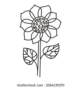 Sunflower in the doodle style. Flowers are suitable for the design of farmhouses, romantic weddings, rustic borders, invitations, menus. Vector illustration.