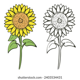 Sunflower drawing with line-art. Simple Design Outline Style. You can give color you like. Vector Illustrations