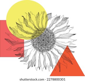 sunflower drawing orange yellow texture