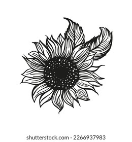 Sunflower drawing vector decoration with leaves. Line contour design flower silhouette graphic
