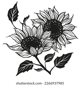 Sunflower drawing vector decoration with leaves. Line contour design flower silhouette graphic