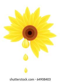 Sunflower with drops of sunflower oil on a white background.