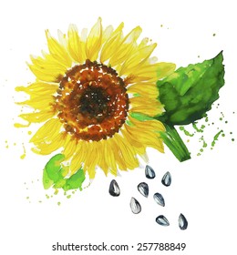 sunflower ,each element on a separate layer