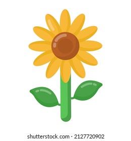 Sunflower in editable vector design 


