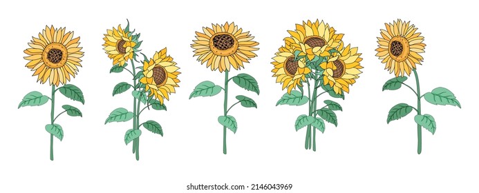 Sunflower element set Designed in doodle style, for decorations, cards, postcards, apparel patterns, printed fabrics, fashion, scrapbook, pillow designs, bags and more.