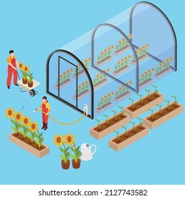 Sunflower farming isometric 3d vector concept for banner, website, illustration, landing page, flyer, etc.