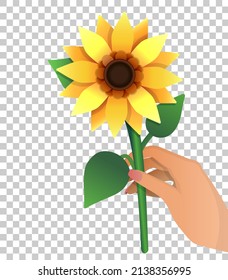 Sunflower in female hand isolated transparent background  Cartoon illustration and yellow flower in gradient styleSunflower in female hand isolated transparent background  Cartoon illustration 