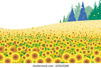 Sunflower field