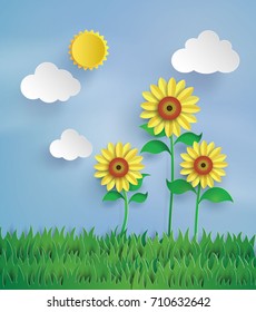 Sunflower field with blue sky