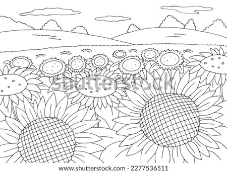 Sunflower field coloring graphic black white landscape sketch illustration vector Stock foto © 