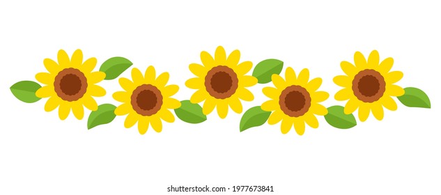 sunflower field, flower border flat style vector illustration