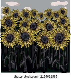 flor de campo de girasol con fondo de paisaje turbio