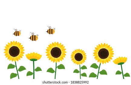Sunflower field and flying bee cartoon on white background vector illustration. 
