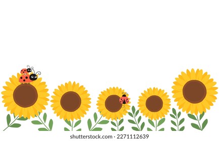 Sunflower field with green leaves and lady bug cartoons on white background vector illustration.