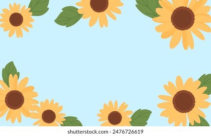 Sunflower field with green leaves on blue background vector.
