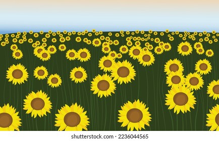 Sunflower Field Landscape with aesthetic sky 