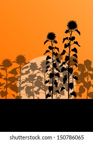 Sunflower field landscape vector background concept
