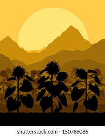 Sunflower field landscape vector background concept