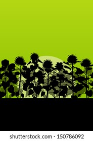 Sunflower field landscape vector background concept