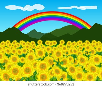 sunflower field with mountain, rainbow and sky