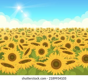 Campo de girasoles. Fondo exterior de la luz de la naturaleza con hermosas flores amarillas ilustración vectorial exacta