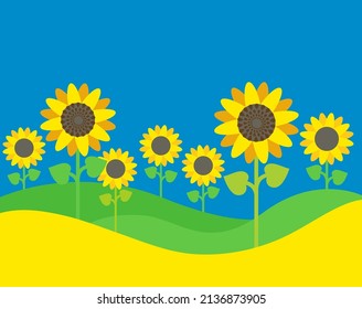 Sunflower field, rural landscape, Ukraine flag vector illustration 