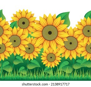 Sunflower field. Seamless vector pattern