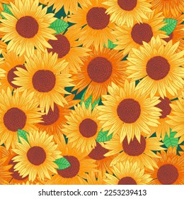 Sunflower field seamless vector pattern for textile fabric design. Vector illustration