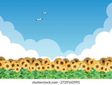 Sonnenblumenfeld unter blauem Himmel: Sommerlandschaft und Wolkenhintergrund