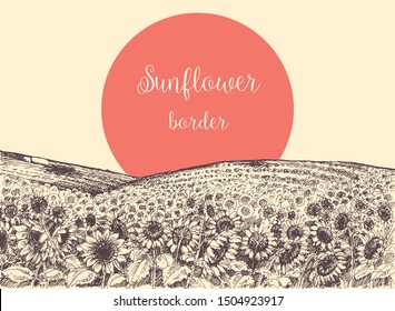 Sunflower fields graphic artistic border. Hills with sunflower crops drawing