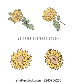 sunflower flat design. vector illustration