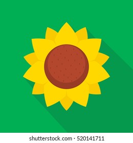 Sunflower Flat Design Vector Illustration