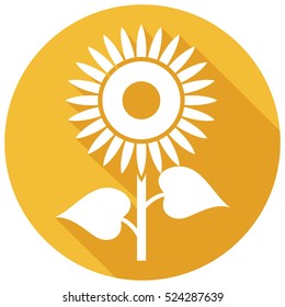 sunflower flat icon