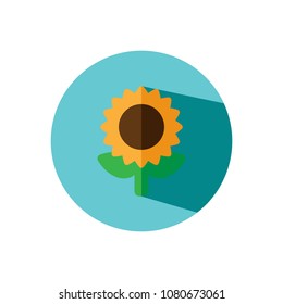 Sunflower Flat Icon Design Vector Template EPS File