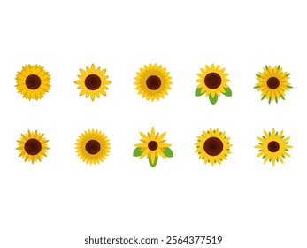 Sunflower Flat Illustration Element Set 