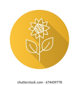 Sunflower flat linear long shadow icon. Helianthus. Vector outline symbol