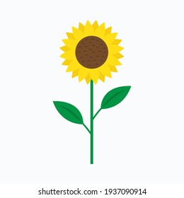 Sunflower in flat style vector isolated