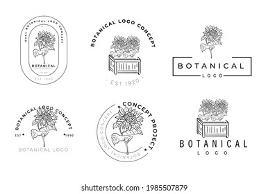 Sunflower floral minimal botanical hand drawn logo package set